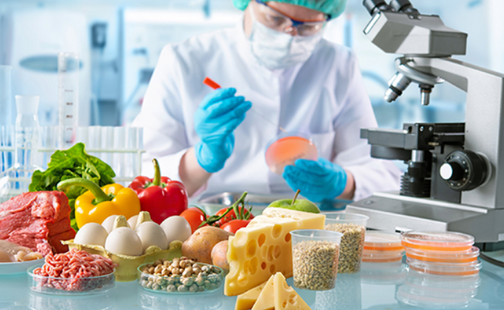 Disain (värvilahendused ja kompositsioon)